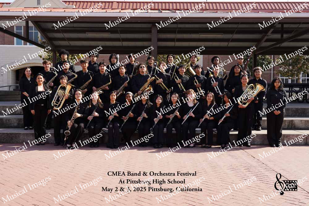 Musical Images